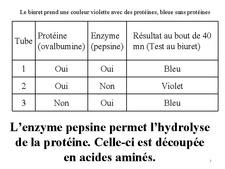 Le biuret prend une couleur violette avec des protéines, bleue sans protéines Protéine Enzyme Le biuret prend une couleur violette avec des protéines, bleue sans protéines Protéine Enzyme