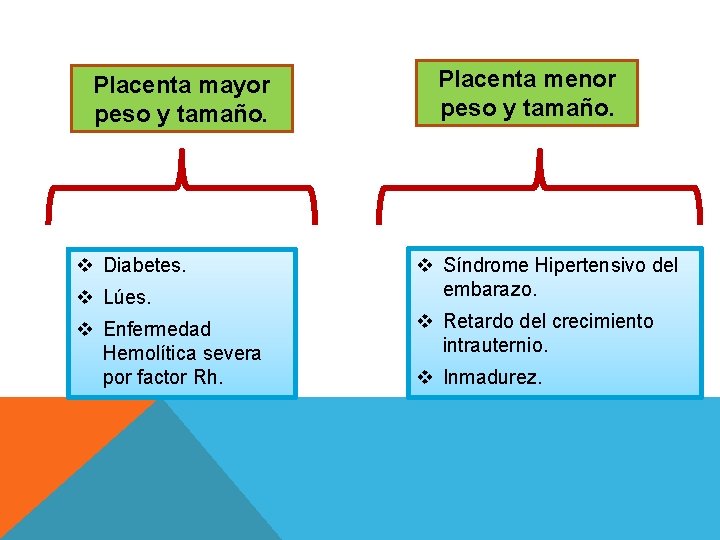 Placenta mayor peso y tamaño. v Diabetes. v Lúes. v Enfermedad Hemolítica severa por