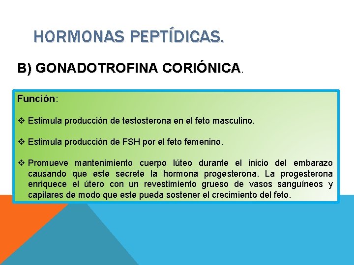 HORMONAS PEPTÍDICAS. B) GONADOTROFINA CORIÓNICA. Función: v Estimula producción de testosterona en el feto