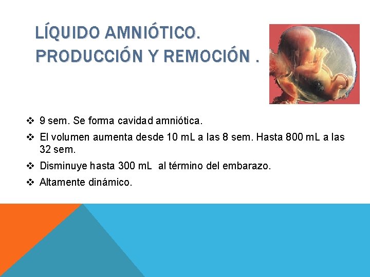 LÍQUIDO AMNIÓTICO. PRODUCCIÓN Y REMOCIÓN. v 9 sem. Se forma cavidad amniótica. v El
