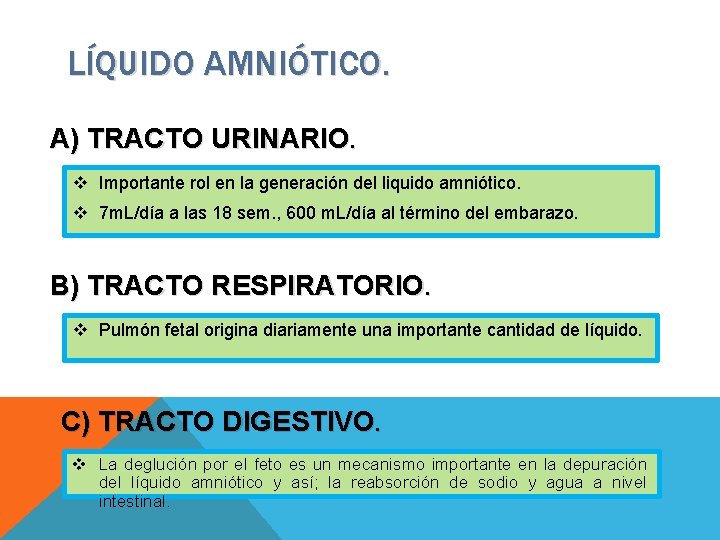 LÍQUIDO AMNIÓTICO. A) TRACTO URINARIO. v Importante rol en la generación del liquido amniótico.