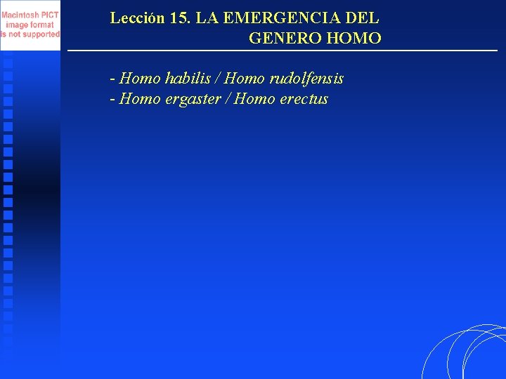 Lección 15. LA EMERGENCIA DEL GENERO HOMO - Homo habilis / Homo rudolfensis -