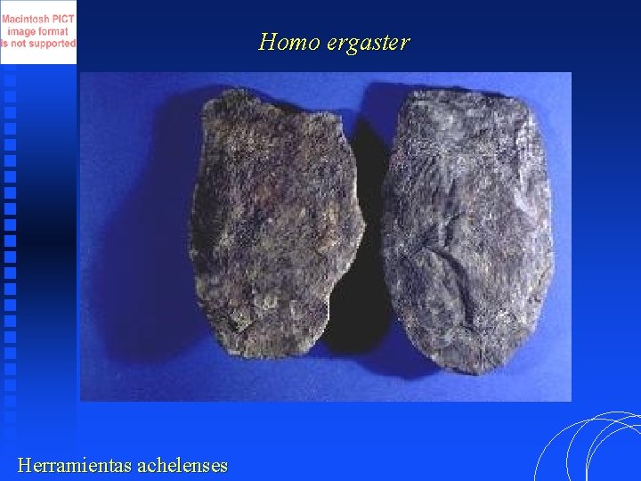 Homo ergaster Herramientas achelenses 