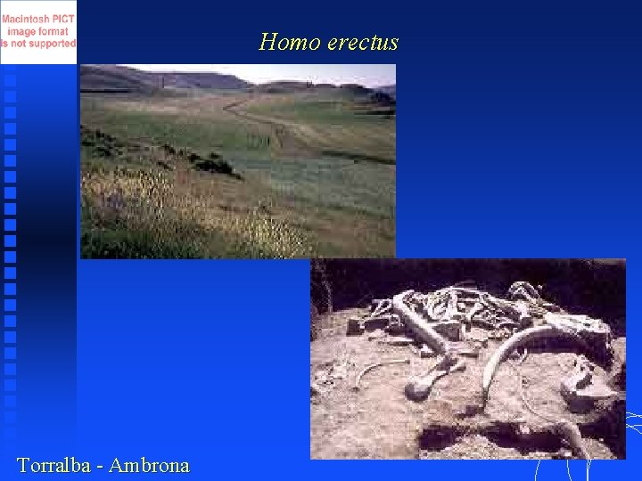 Homo erectus Torralba - Ambrona 