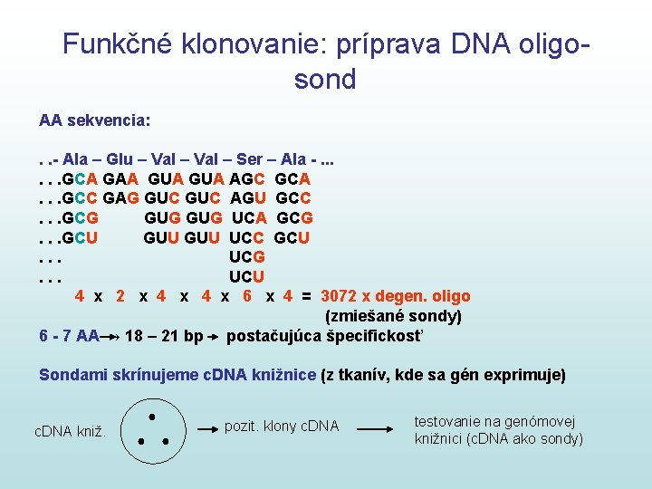 Funkčné klonovanie: príprava DNA oligosond AA sekvencia: . . - Ala – Glu –