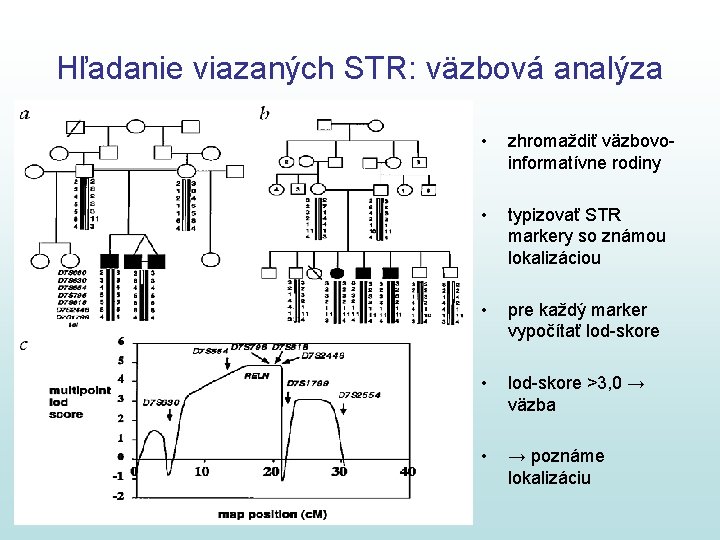 Hľadanie viazaných STR: väzbová analýza • zhromaždiť väzbovoinformatívne rodiny • typizovať STR markery so