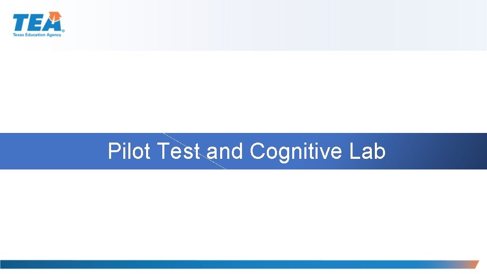  Pilot Test and Cognitive Lab 