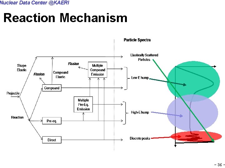 Nuclear Data Center @KAERI Reaction Mechanism - 36 - 