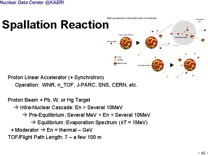 Nuclear Data Center @KAERI Spallation Reaction Proton Linear Accelerator (+ Synchrotron) Operation: WNR, n_TOF,