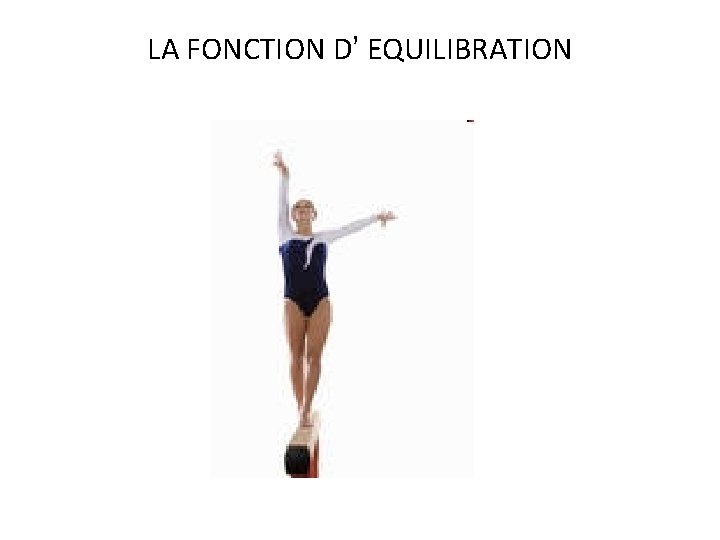 LA FONCTION D’ EQUILIBRATION 