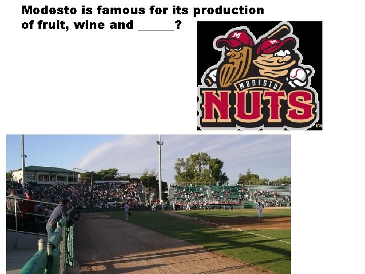 Modesto is famous for its production of fruit, wine and ______? Modesto is famous for its production of fruit, wine and ______?
