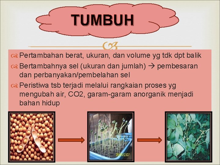 TUMBUH Pertambahan berat, ukuran, dan volume yg tdk dpt balik Bertambahnya sel (ukuran dan
