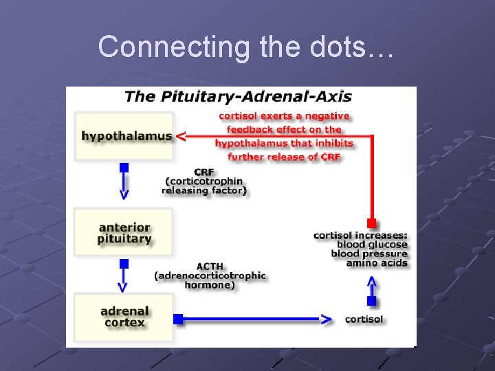 Connecting the dots… 