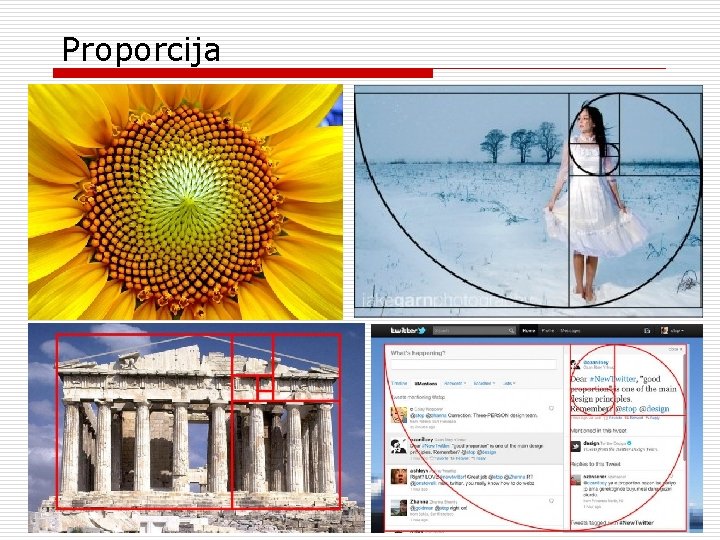 Proporcija Proporcija