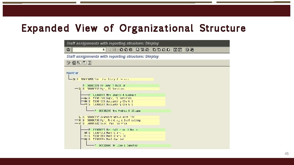 Expanded V ie w of O rgani zational Structure 45 