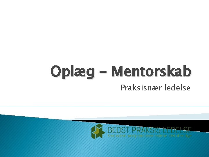 Oplæg - Mentorskab Praksisnær ledelse 