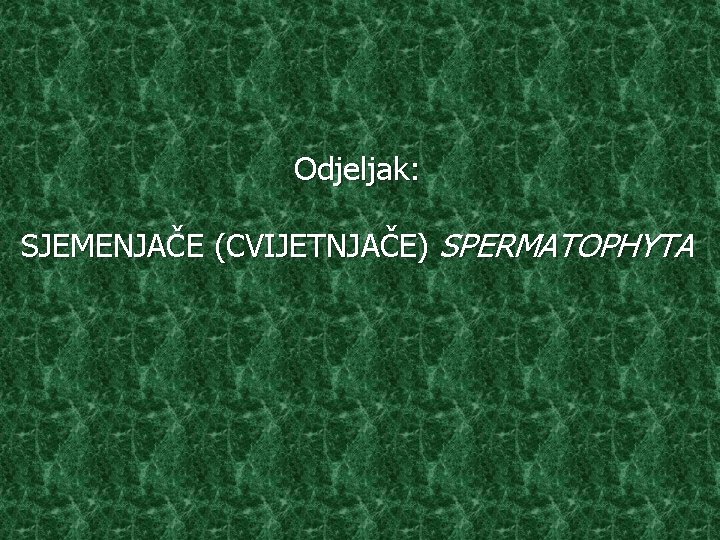 Odjeljak: SJEMENJAČE (CVIJETNJAČE) SPERMATOPHYTA 