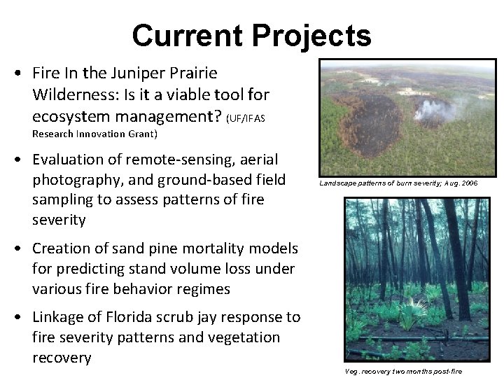 Current Projects • Fire In the Juniper Prairie Wilderness: Is it a viable tool