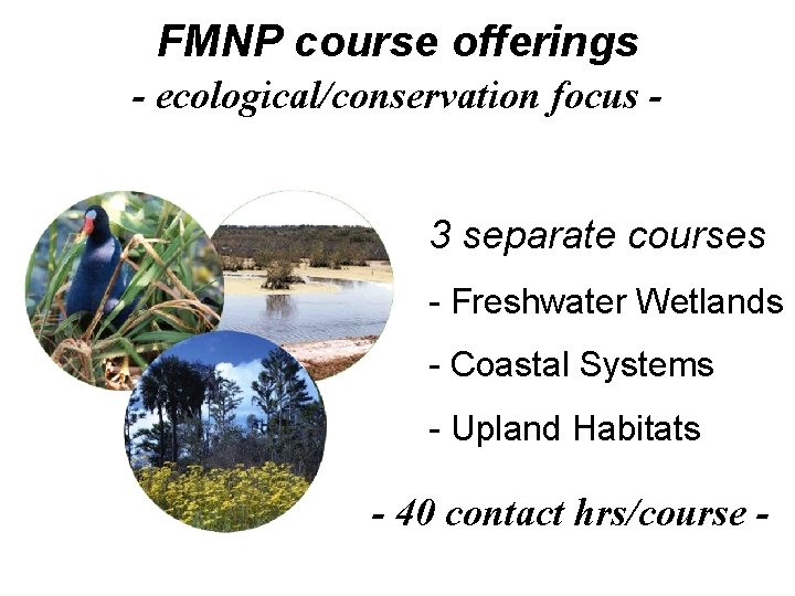 FMNP course offerings - ecological/conservation focus 3 separate courses - Freshwater Wetlands - Coastal