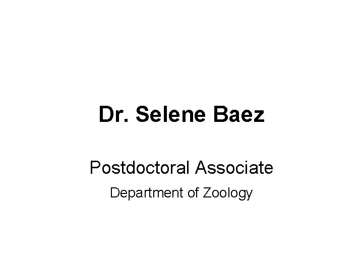 Dr. Selene Baez Postdoctoral Associate Department of Zoology 