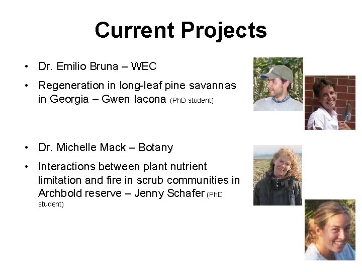 Current Projects • Dr. Emilio Bruna – WEC • Regeneration in long-leaf pine savannas