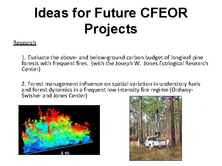 Ideas for Future CFEOR Projects Research 1. Evaluate the above- and below-ground carbon budget