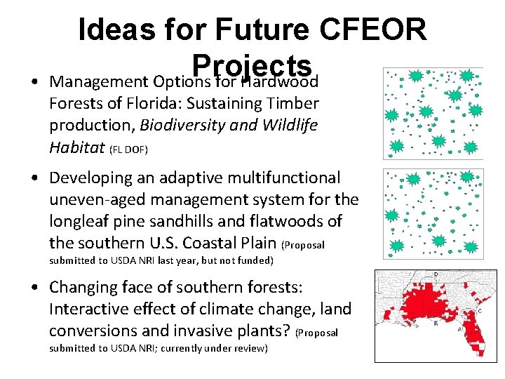  • Ideas for Future CFEOR Projects Management Options for Hardwood Forests of Florida: