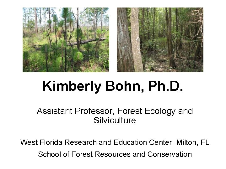 Kimberly Bohn, Ph. D. Assistant Professor, Forest Ecology and Silviculture West Florida Research and