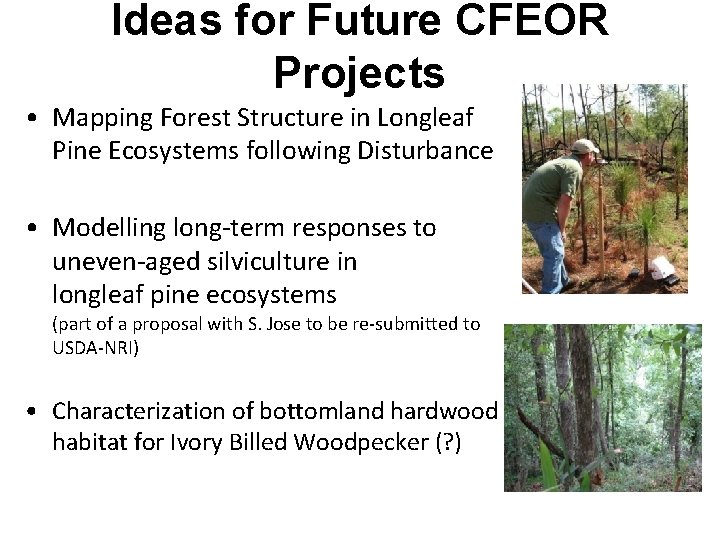 Ideas for Future CFEOR Projects • Mapping Forest Structure in Longleaf Pine Ecosystems following