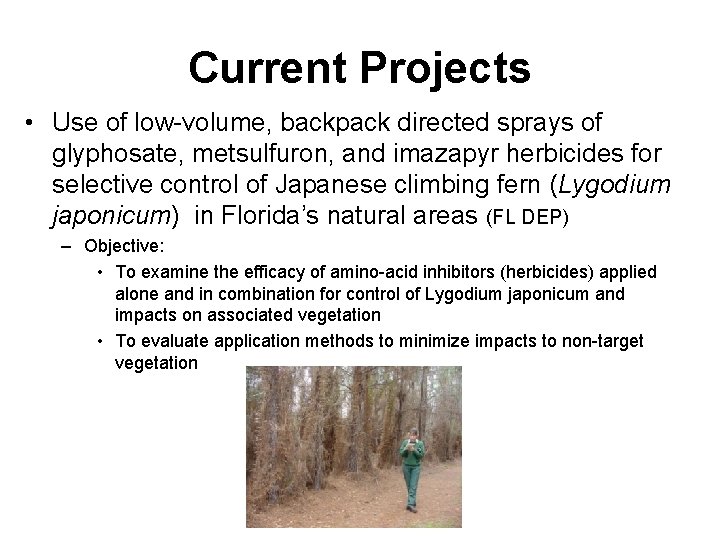 Current Projects • Use of low-volume, backpack directed sprays of glyphosate, metsulfuron, and imazapyr
