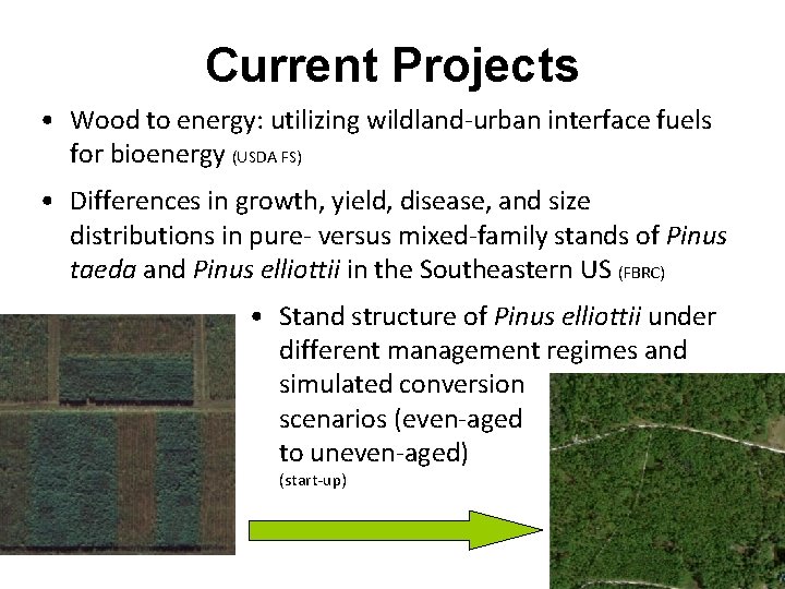 Current Projects • Wood to energy: utilizing wildland-urban interface fuels for bioenergy (USDA FS)