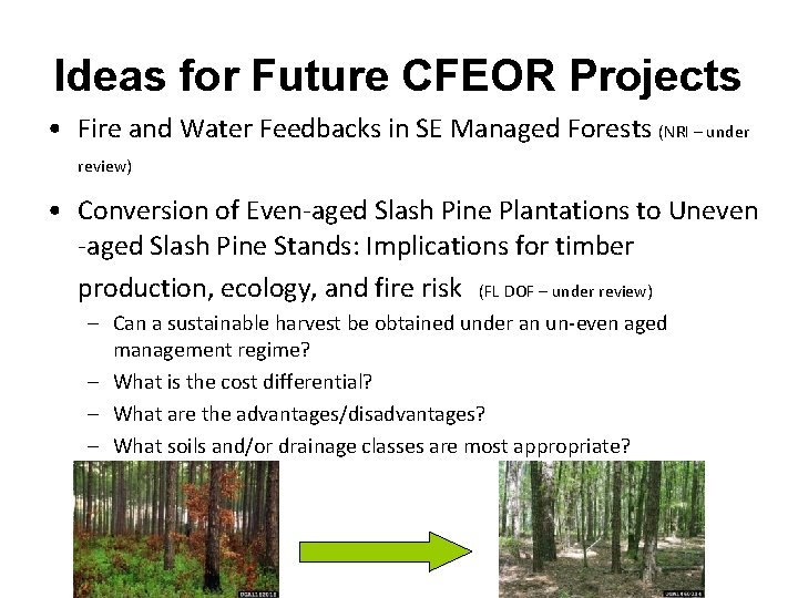 Ideas for Future CFEOR Projects • Fire and Water Feedbacks in SE Managed Forests