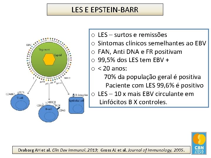 LES E EPSTEIN-BARR LES – surtos e remissões Sintomas clínicos semelhantes ao EBV FAN,