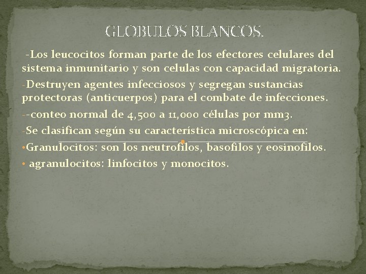 GLOBULOS BLANCOS. -Los leucocitos forman parte de los efectores celulares del sistema inmunitario y