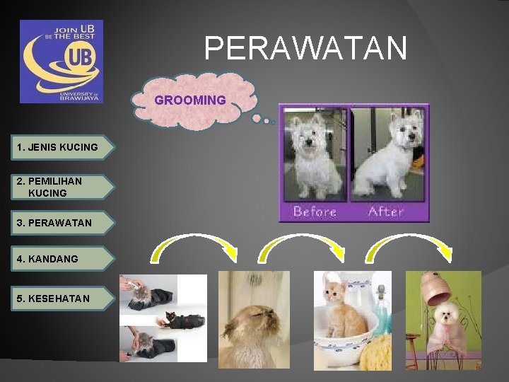 PERAWATAN GROOMING 1. JENIS KUCING 2. PEMILIHAN KUCING 3. PERAWATAN 4. KANDANG 5. KESEHATAN