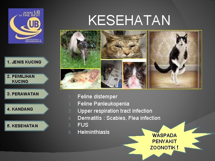 KESEHATAN 1. JENIS KUCING 2. PEMILIHAN KUCING 3. PERAWATAN 1. 2. 4. KANDANG 3.