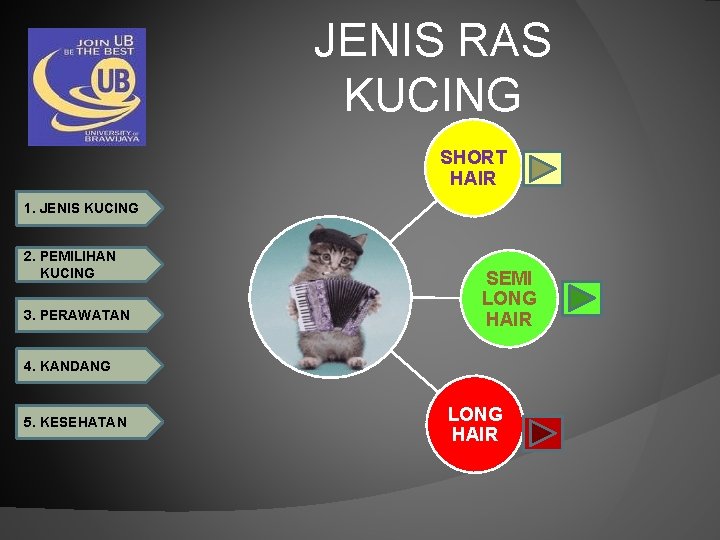 JENIS RAS KUCING SHORT HAIR 1. JENIS KUCING 2. PEMILIHAN KUCING 3. PERAWATAN SEMI