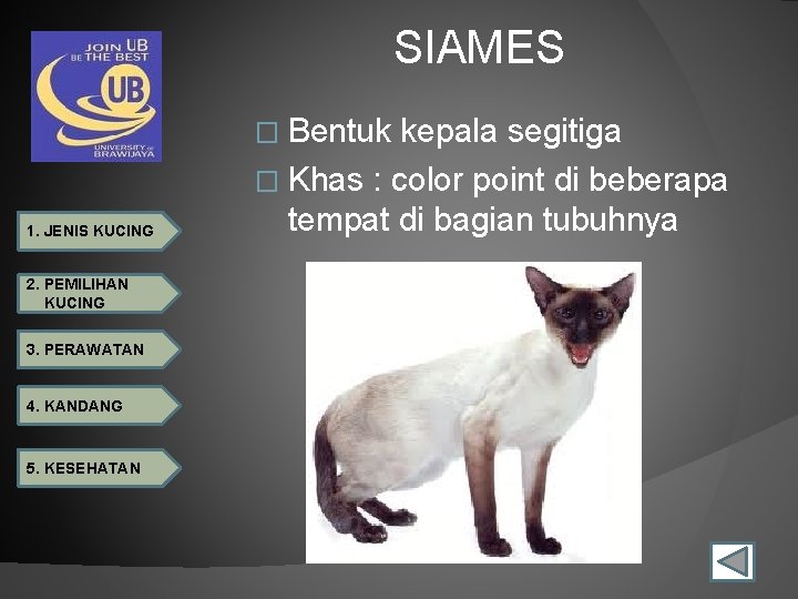 SIAMES � Bentuk 1. JENIS KUCING 2. PEMILIHAN KUCING 3. PERAWATAN 4. KANDANG 5.