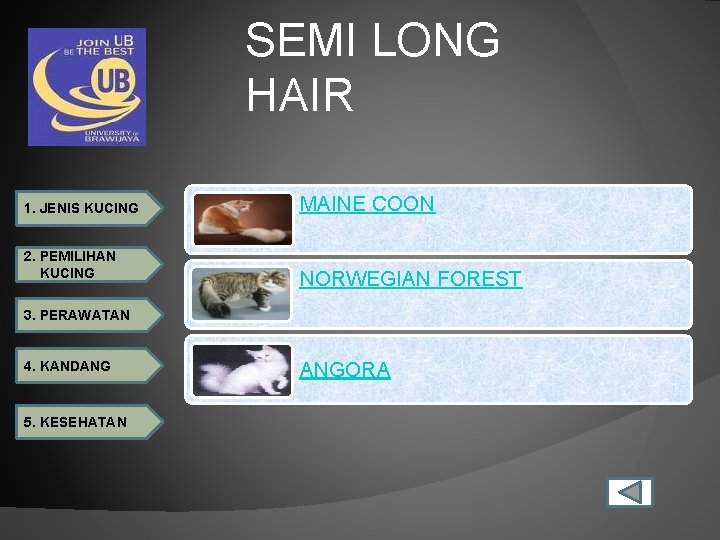 SEMI LONG HAIR 1. JENIS KUCING 2. PEMILIHAN KUCING MAINE COON NORWEGIAN FOREST 3.