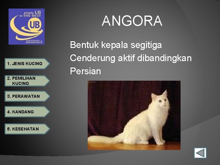 ANGORA 1. JENIS KUCING 2. PEMILIHAN KUCING 3. PERAWATAN 4. KANDANG 5. KESEHATAN Bentuk