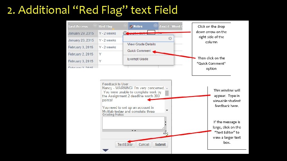 2. Additional “Red Flag” text Field Family Educational Rights and Privacy Act 