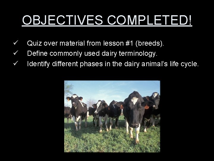 OBJECTIVES COMPLETED! ü ü ü Quiz over material from lesson #1 (breeds). Define commonly