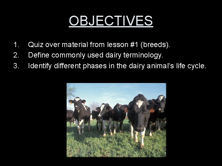 OBJECTIVES 1. 2. 3. Quiz over material from lesson #1 (breeds). Define commonly used