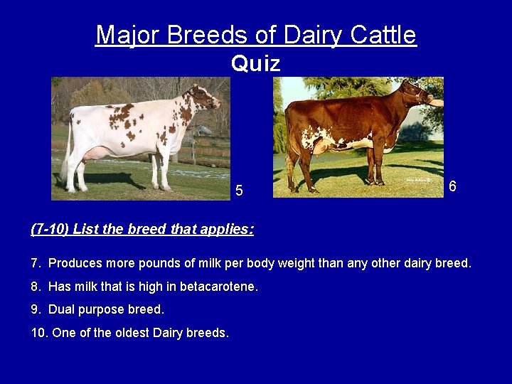 Major Breeds of Dairy Cattle Quiz 5 6 (7 -10) List the breed that
