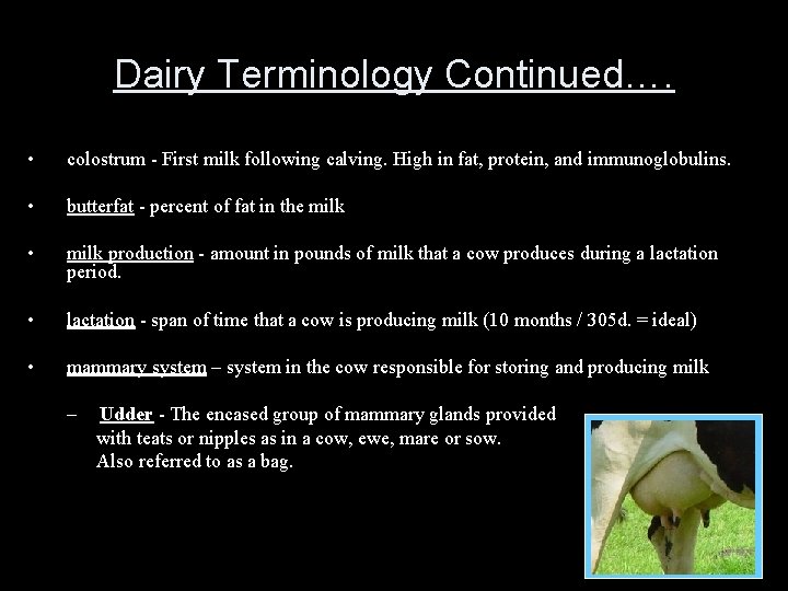 Dairy Terminology Continued…. • colostrum - First milk following calving. High in fat, protein,