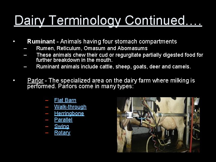 Dairy Terminology Continued…. • Ruminant - Animals having four stomach compartments – – –