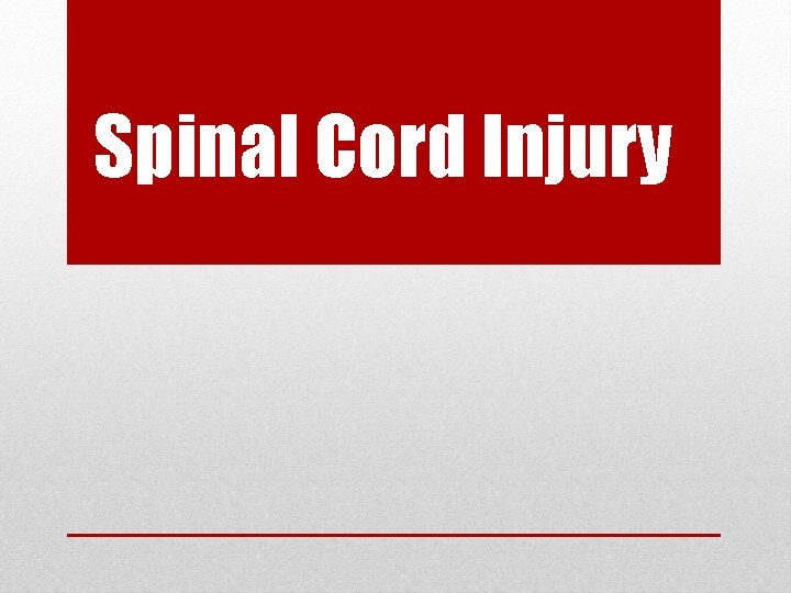 Spinal Cord Injury Spinal Cord Injury