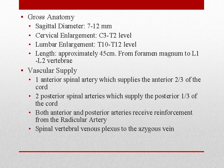 • Gross Anatomy • • Sagittal Diameter: 7 -12 mm Cervical Enlargement: C • Gross Anatomy • • Sagittal Diameter: 7 -12 mm Cervical Enlargement: C