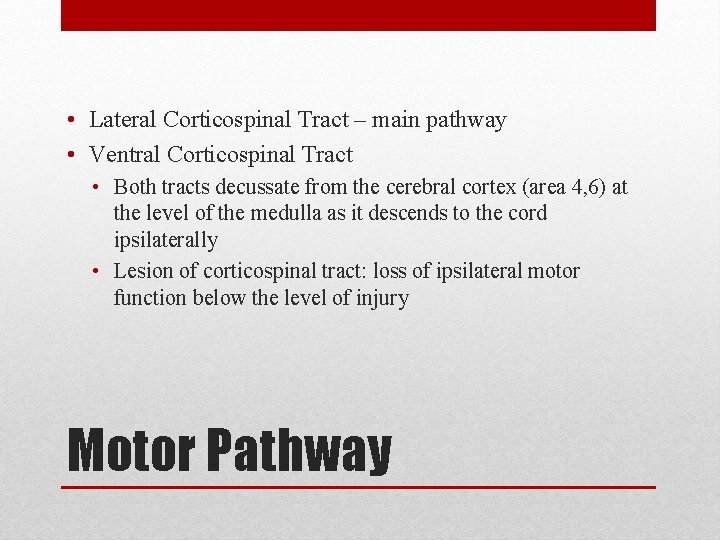 • Lateral Corticospinal Tract – main pathway • Ventral Corticospinal Tract • Both • Lateral Corticospinal Tract – main pathway • Ventral Corticospinal Tract • Both