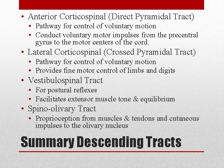 • Anterior Corticospinal (Direct Pyramidal Tract) • Pathway for control of voluntary motion • Anterior Corticospinal (Direct Pyramidal Tract) • Pathway for control of voluntary motion